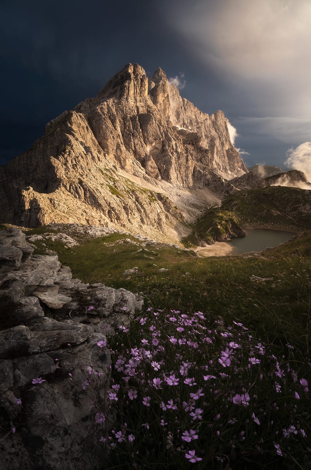 Pink alpine flowers and rocks below a small lake and a sunlit rock peak under storm clouds