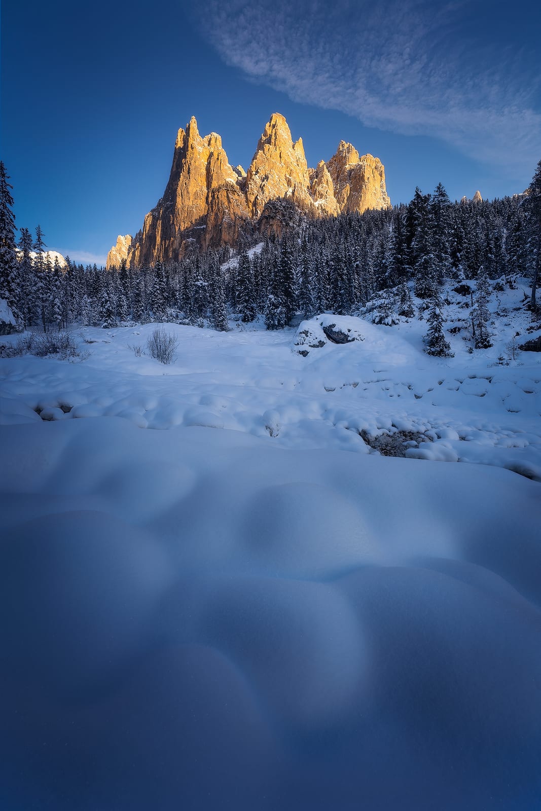 Rock towers lit gold above a snowy forest and soft snowdrifts