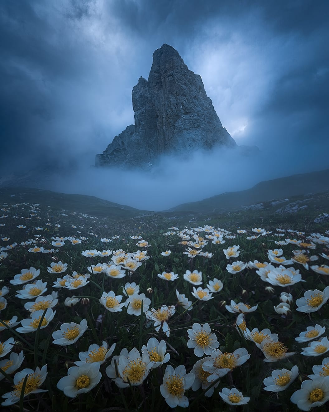 A lone rock spire in swirling cloud above a field of white flowers